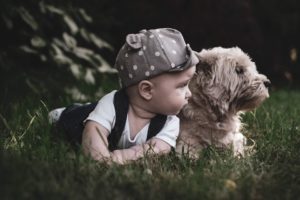 Read more about the article הקשר בין ילדים לבין ליטוף חיות